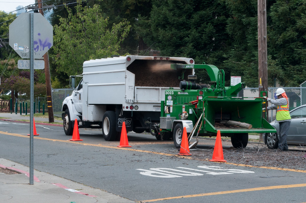 Chip truck and chipper coned off on a residential street with an operator feeding brush